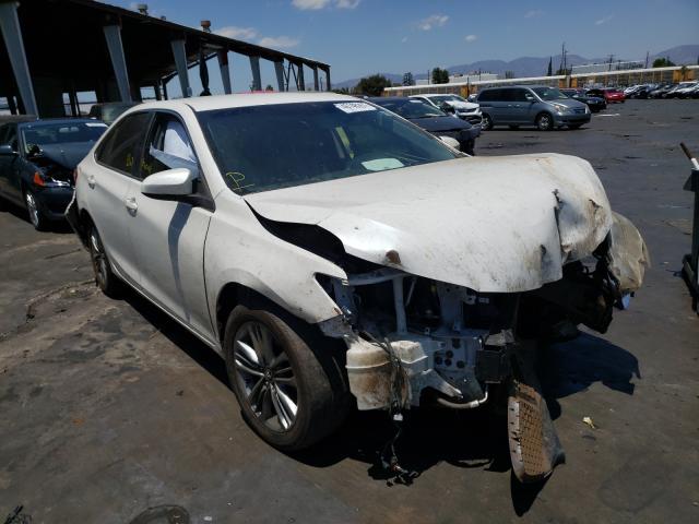 TOYOTA CAMRY LE 2015 4t1bf1fkxfu018539