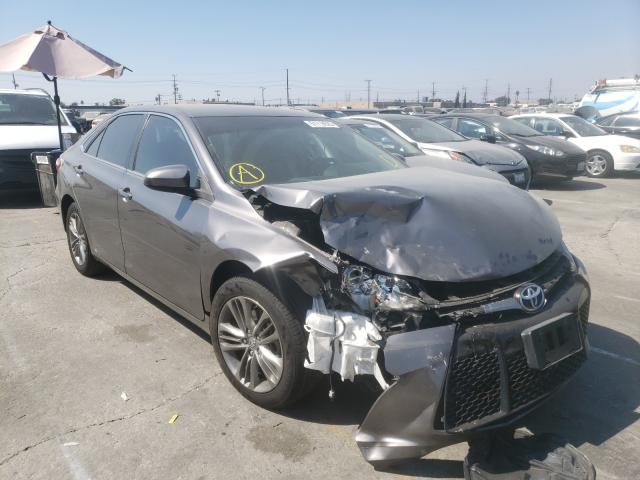 TOYOTA CAMRY LE 2016 4t1bf1fkxgu174131