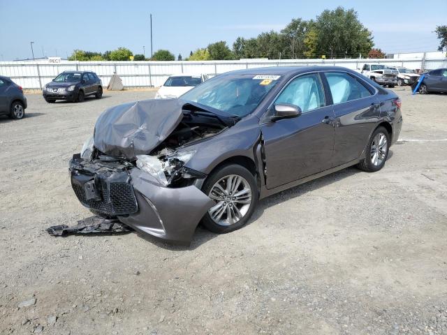 TOYOTA CAMRY LE 2016 4t1bf1fkxgu191477