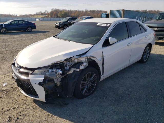 TOYOTA CAMRY LE 2016 4t1bf1fkxgu199840