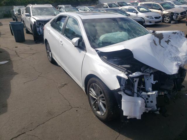 TOYOTA CAMRY LE 2016 4t1bf1fkxgu232285