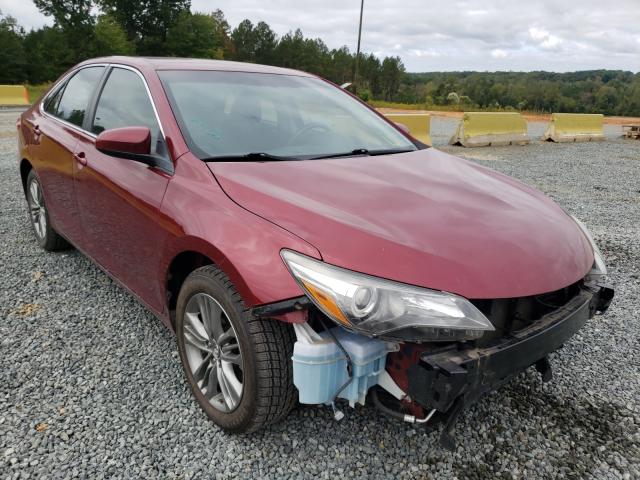 TOYOTA CAMRY LE 2016 4t1bf1fkxgu524342