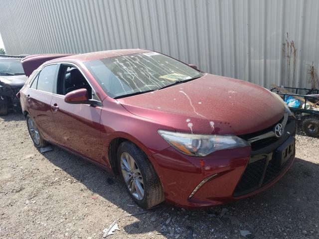 TOYOTA CAMRY LE 2016 4t1bf1fkxgu572777