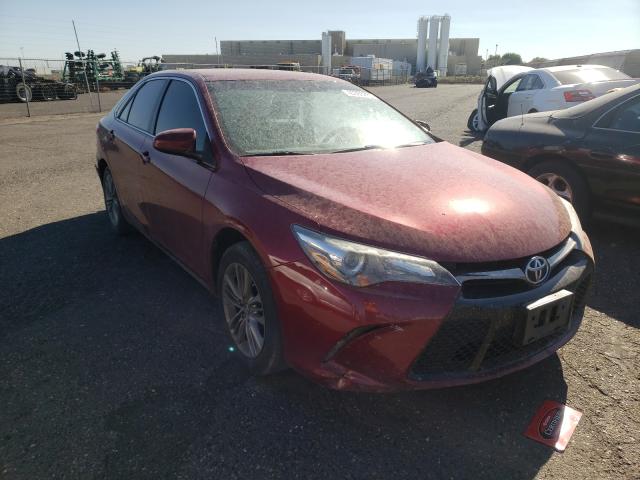 TOYOTA CAMRY LE 2016 4t1bf1fkxgu594357