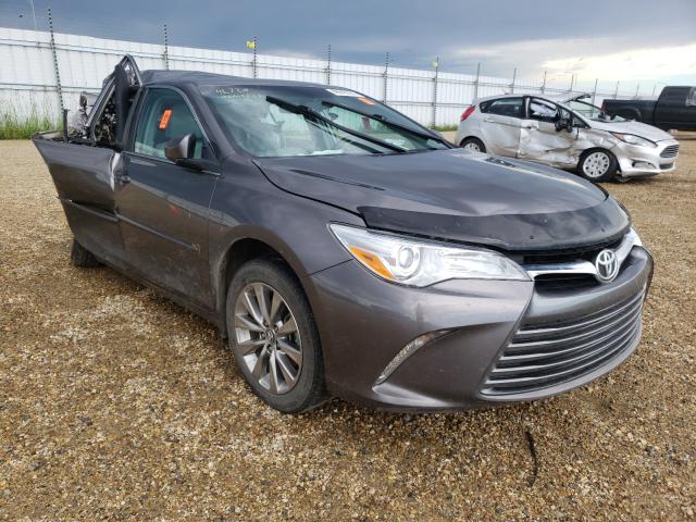 TOYOTA CAMRY LE 2016 4t1bf1fkxgu598604