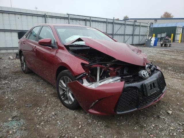 TOYOTA CAMRY LE 2016 4t1bf1fkxgu611447