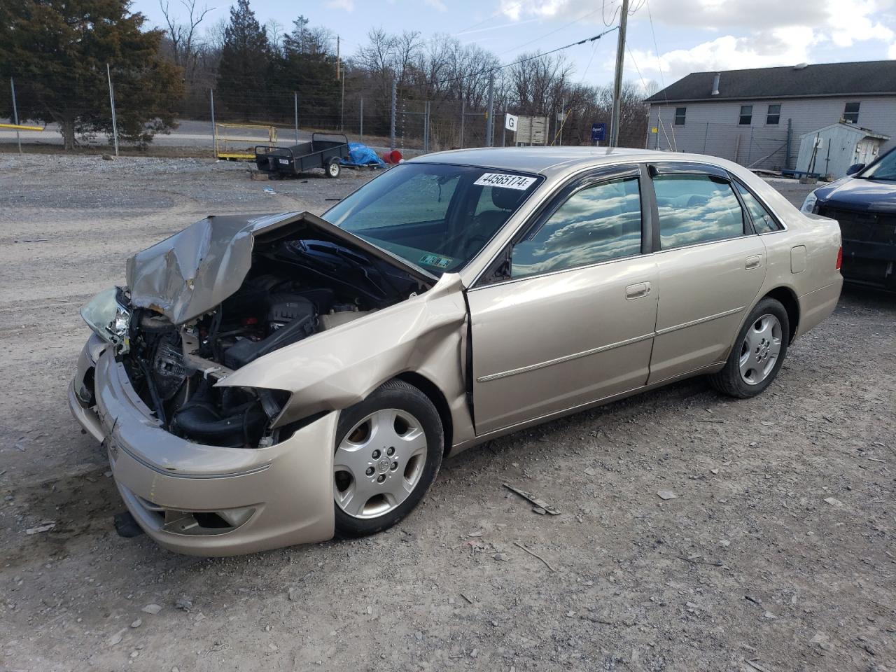 TOYOTA AVALON 2004 4t1bf28b44u376848