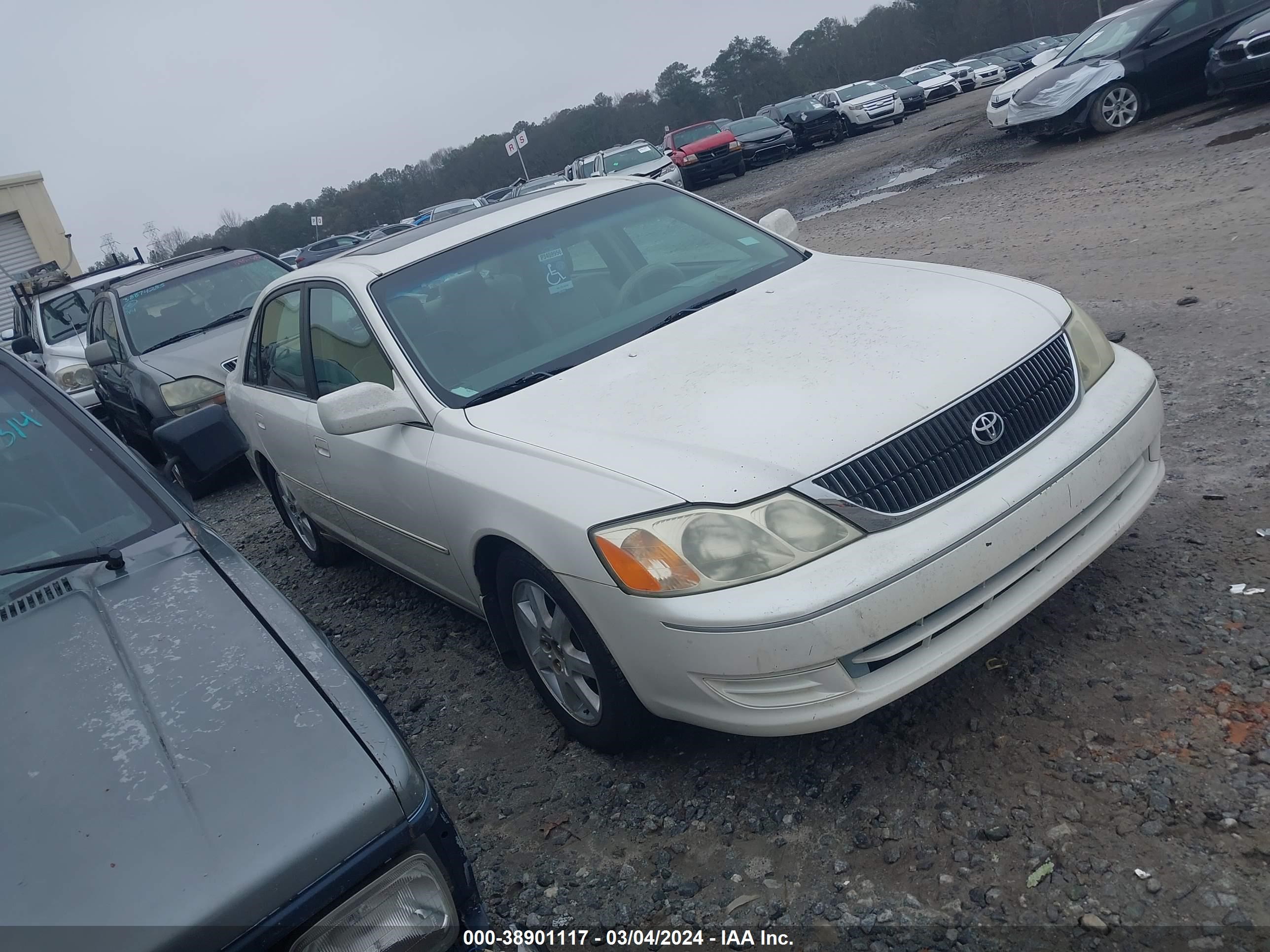 TOYOTA AVALON 2003 4t1bf28b83u304534