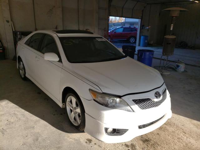 TOYOTA CAMRY BASE 2010 4t1bf3ek0au569665