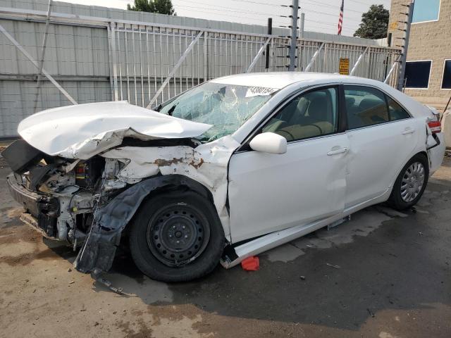 TOYOTA CAMRY BASE 2010 4t1bf3ek1au565043