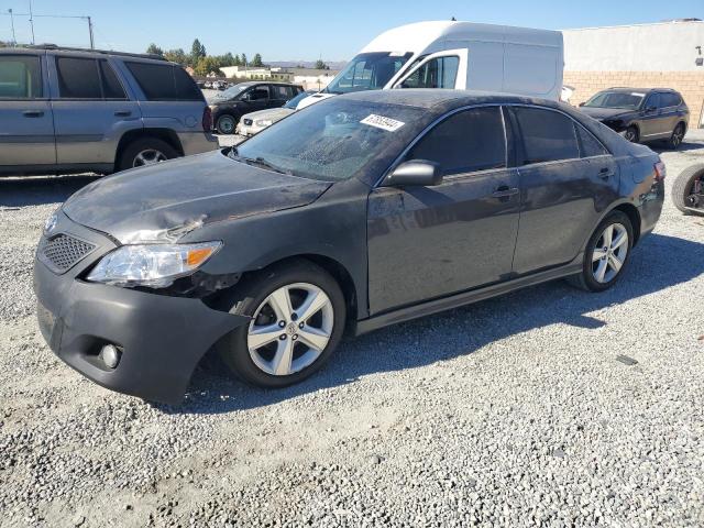 TOYOTA CAMRY BASE 2010 4t1bf3ek1au574728