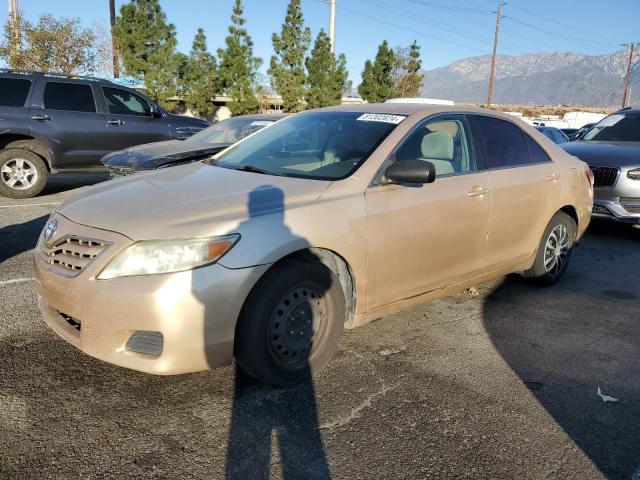 TOYOTA CAMRY BASE 2010 4t1bf3ek2au548235