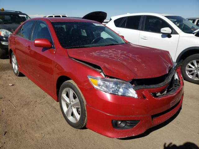 TOYOTA CAMRY BASE 2010 4t1bf3ek3au052389