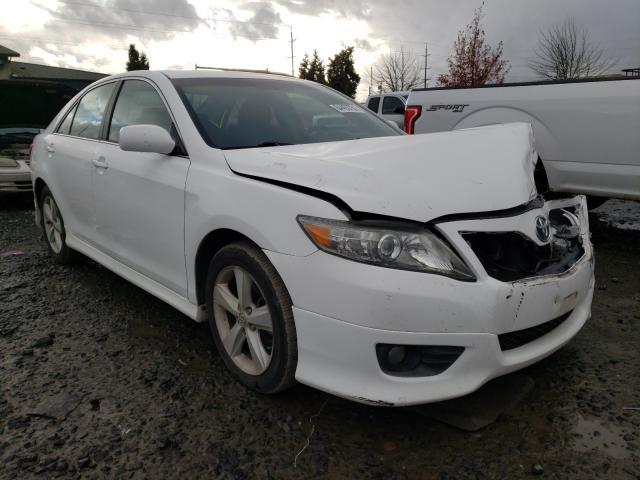 TOYOTA CAMRY BASE 2010 4t1bf3ek3au557168