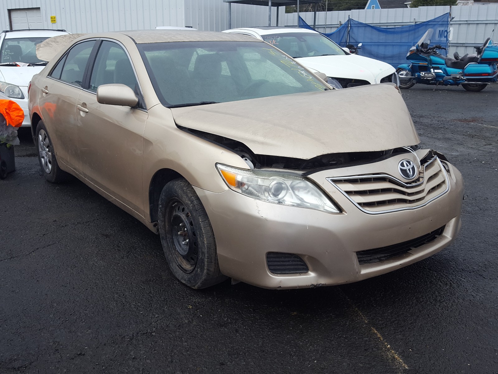 TOYOTA CAMRY BASE 2010 4t1bf3ek5au004666