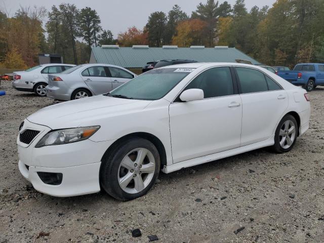 TOYOTA CAMRY BASE 2010 4t1bf3ek5au523393