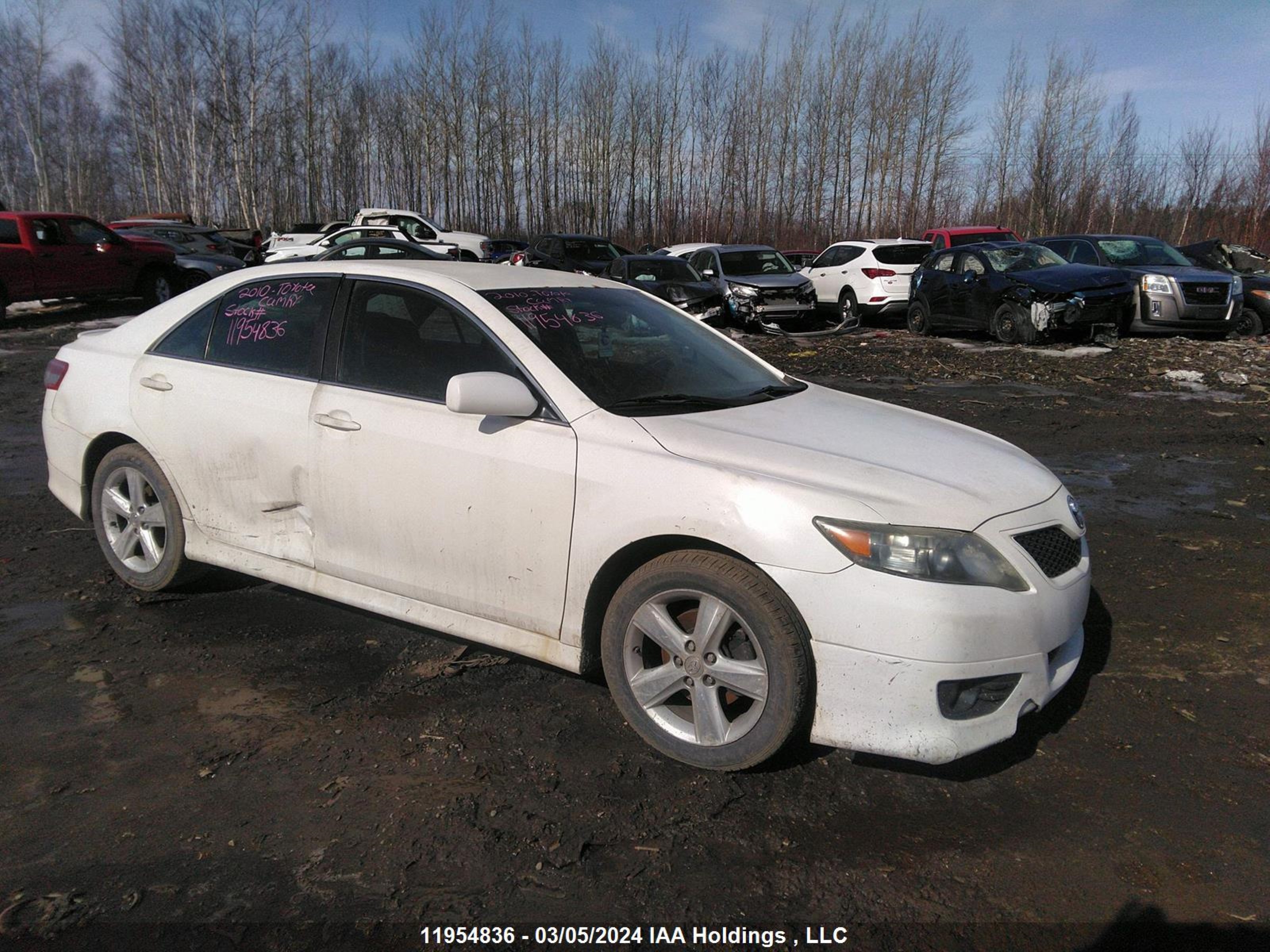 TOYOTA CAMRY 2010 4t1bf3ek5au566017