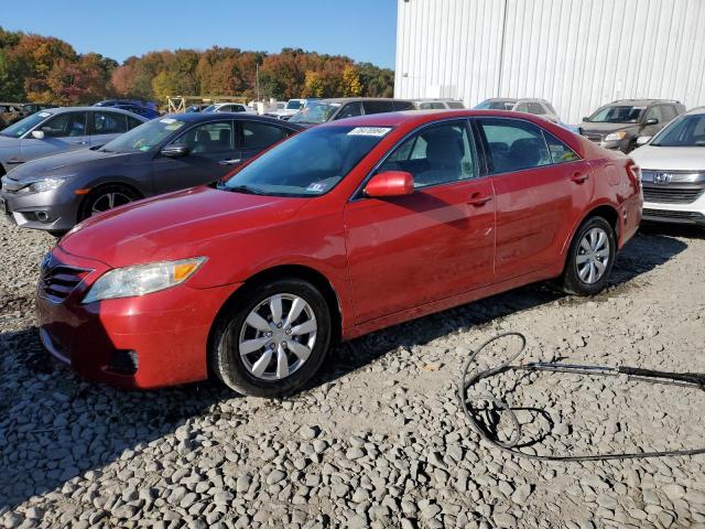 TOYOTA CAMRY BASE 2010 4t1bf3ek6au518865