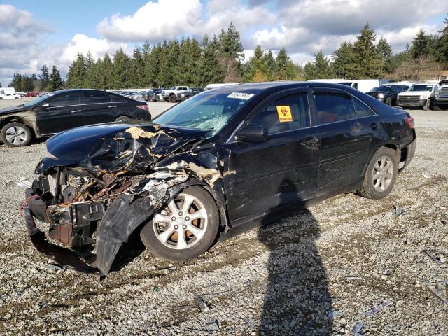 TOYOTA CAMRY BASE 2010 4t1bf3ek7au105661