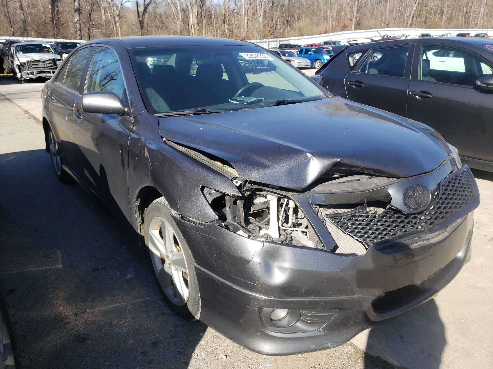 TOYOTA CAMRY BASE 2010 4t1bf3ek8au075120