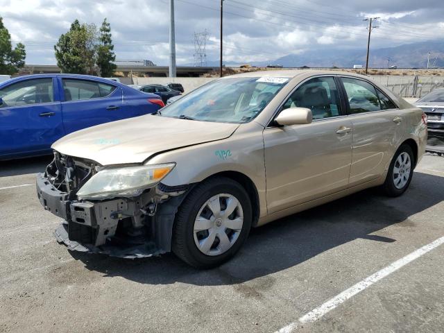 TOYOTA CAMRY BASE 2010 4t1bf3ekxau006820