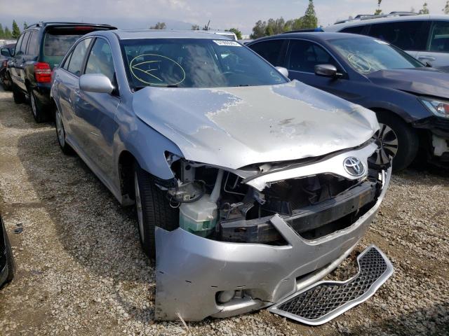 TOYOTA CAMRY BASE 2010 4t1bf3ekxau113639