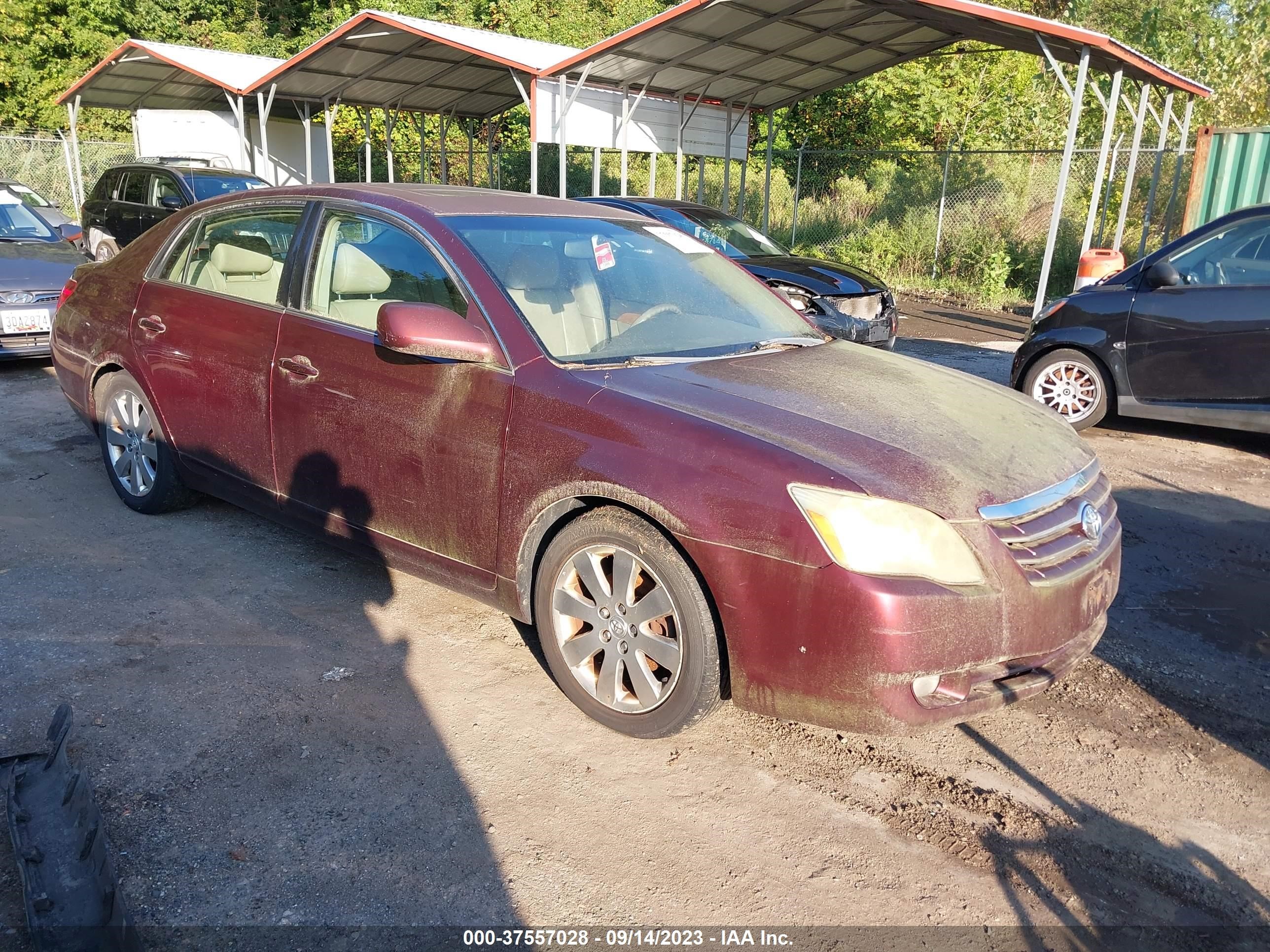 TOYOTA AVALON 2006 4t1bk36b26u137581