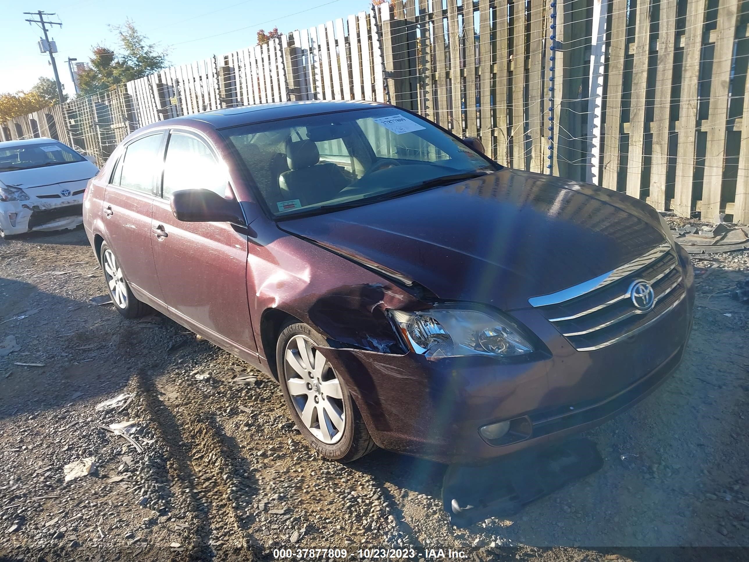 TOYOTA AVALON 2005 4t1bk36b55u027994