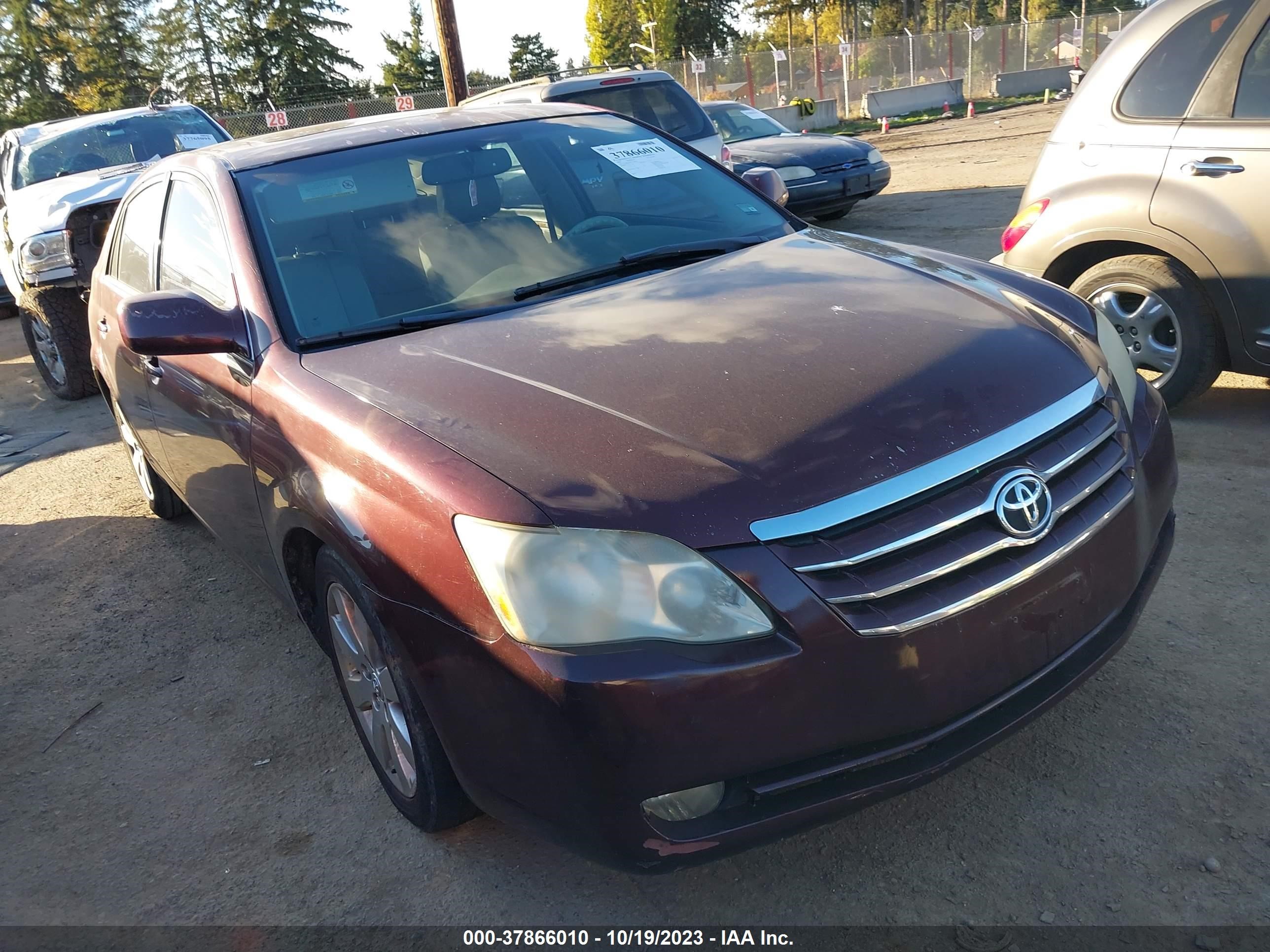 TOYOTA AVALON 2005 4t1bk36bx5u008695