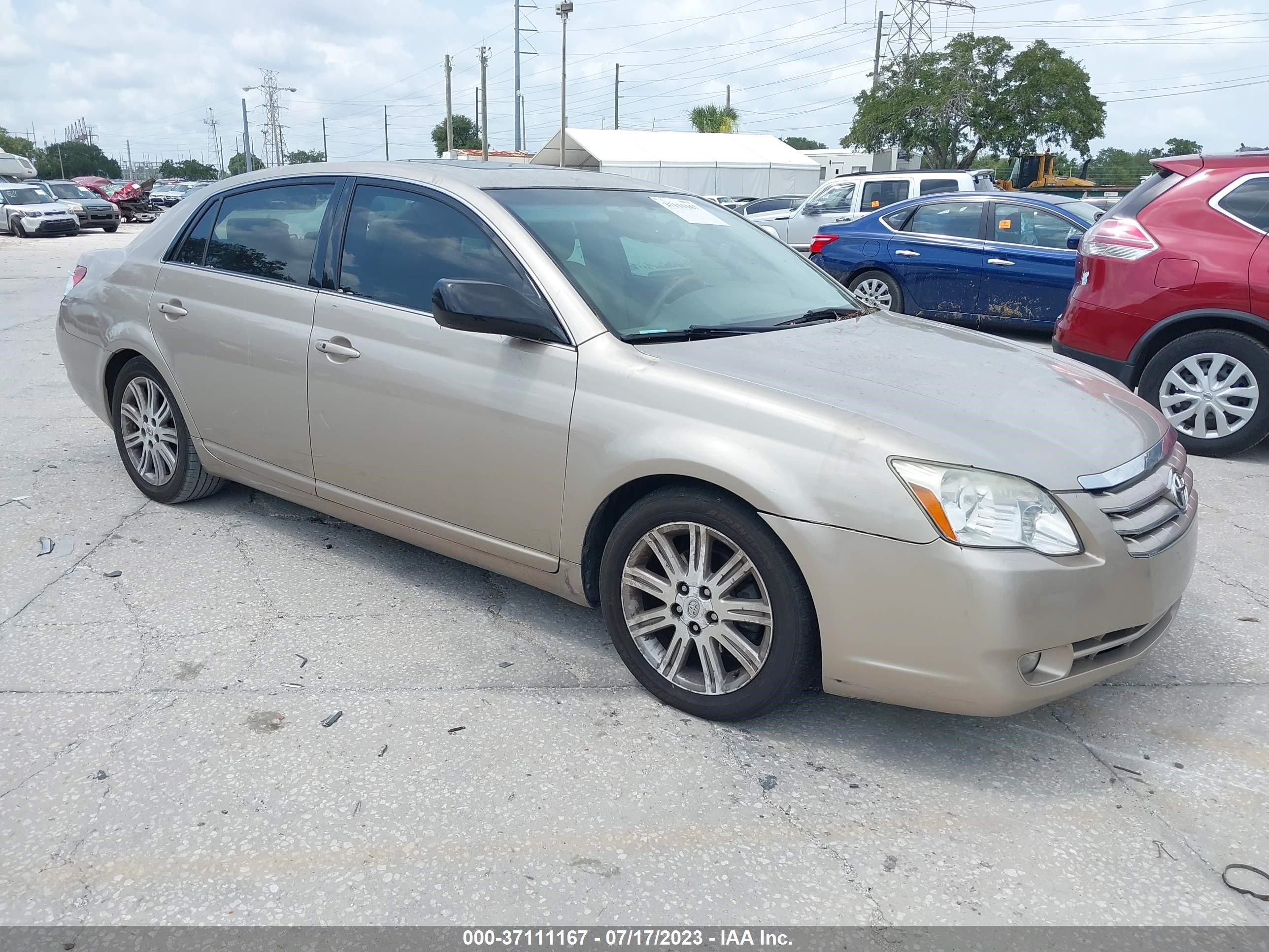 TOYOTA AVALON 2005 4t1bk36bx5u049151