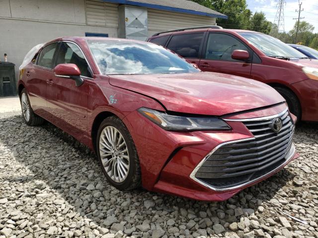 TOYOTA AVALON XLE 2019 4t1bz1fb4ku029179