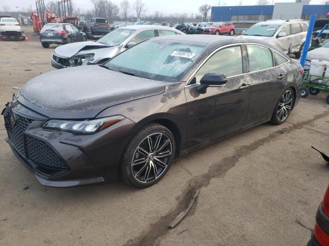 TOYOTA AVALON XLE 2019 4t1bz1fb7ku010528