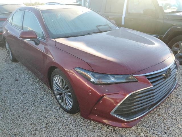 TOYOTA AVALON XLE 2019 4t1bz1fb9ku035155