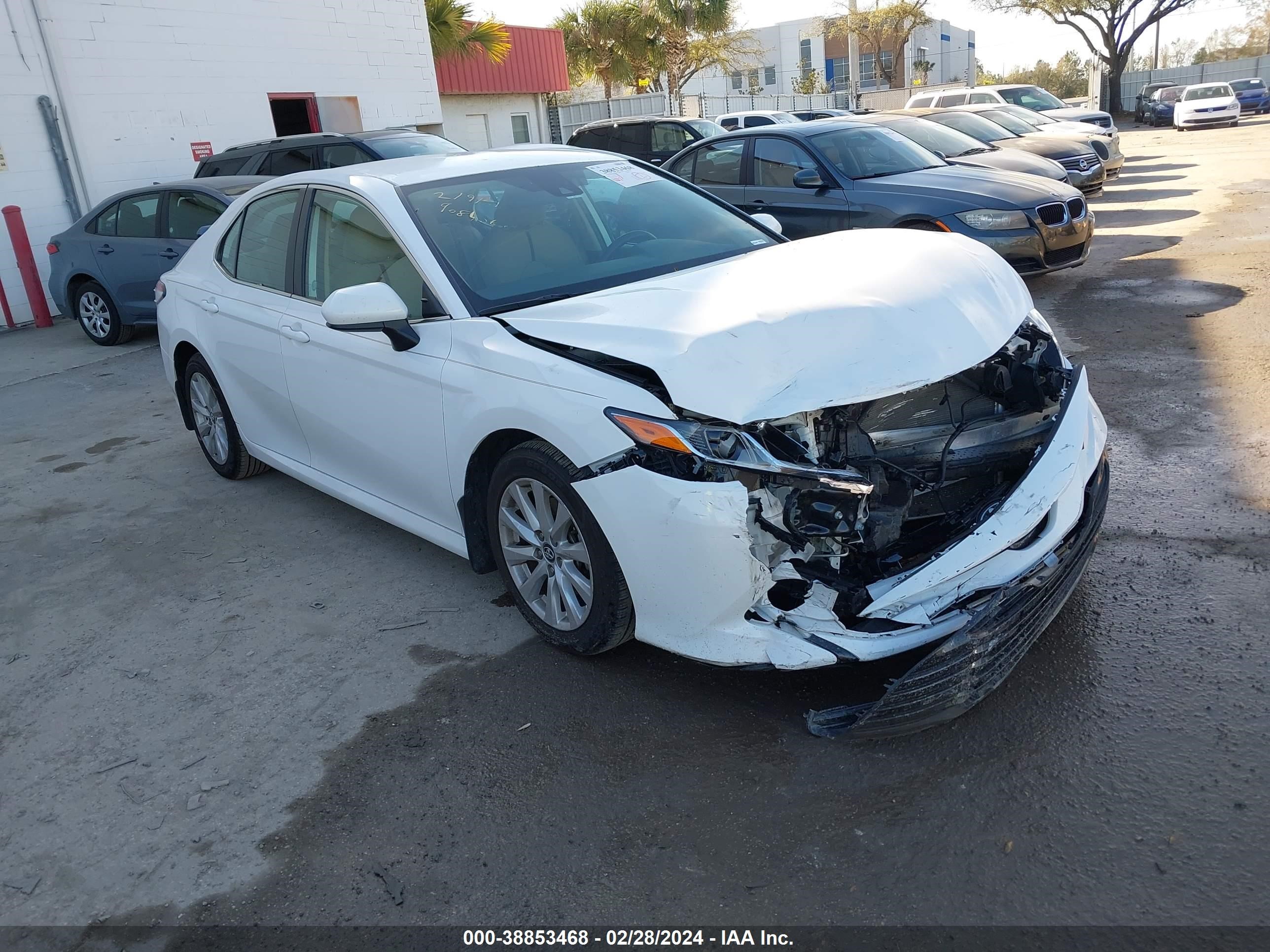 TOYOTA CAMRY 2020 4t1c11ak0lu908456