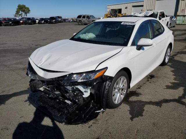 TOYOTA CAMRY 2023 4t1c11ak0pu141925