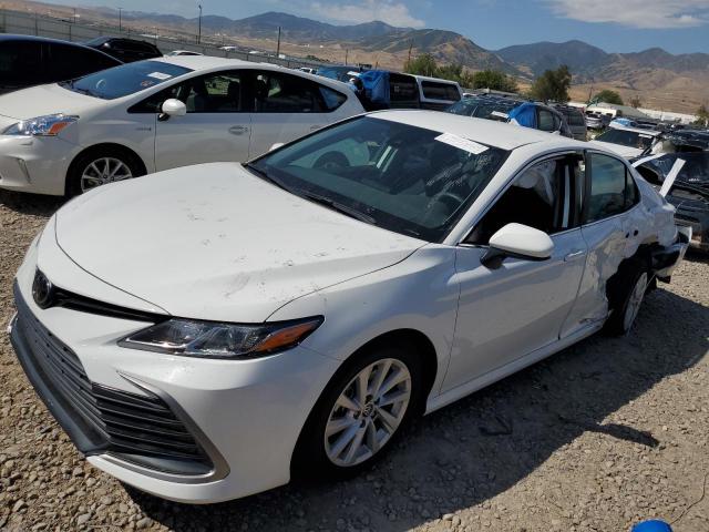 TOYOTA CAMRY LE 2023 4t1c11ak0pu790740