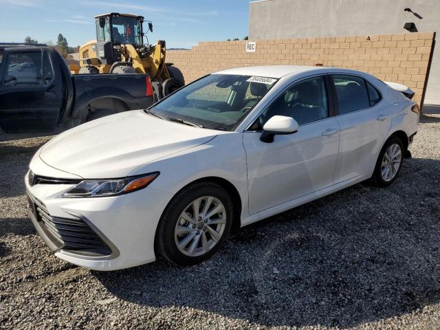 TOYOTA CAMRY 2024 4t1c11ak0ru201964