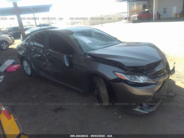 TOYOTA CAMRY 2020 4t1c11ak2lu905932