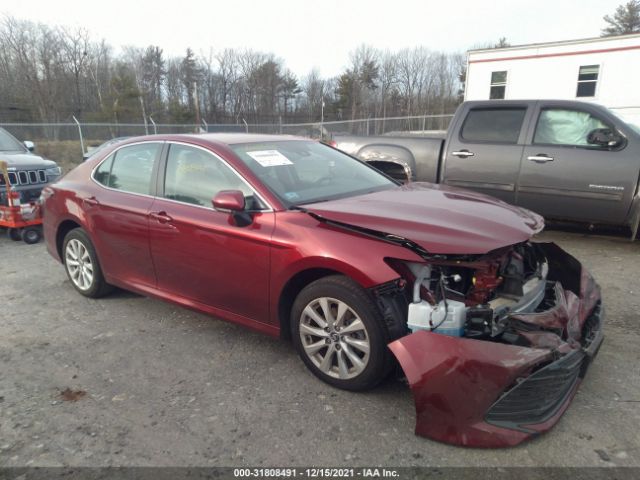 TOYOTA CAMRY 2020 4t1c11ak4lu862792