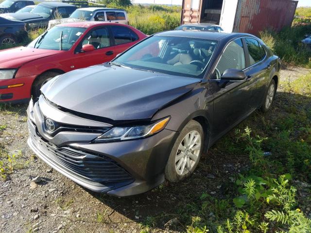 TOYOTA CAMRY LE 2020 4t1c11ak5lu352399