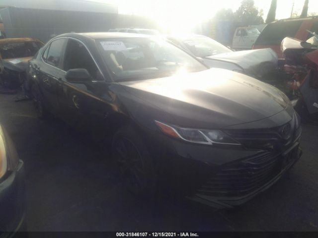 TOYOTA CAMRY 2020 4t1c11ak5lu889256