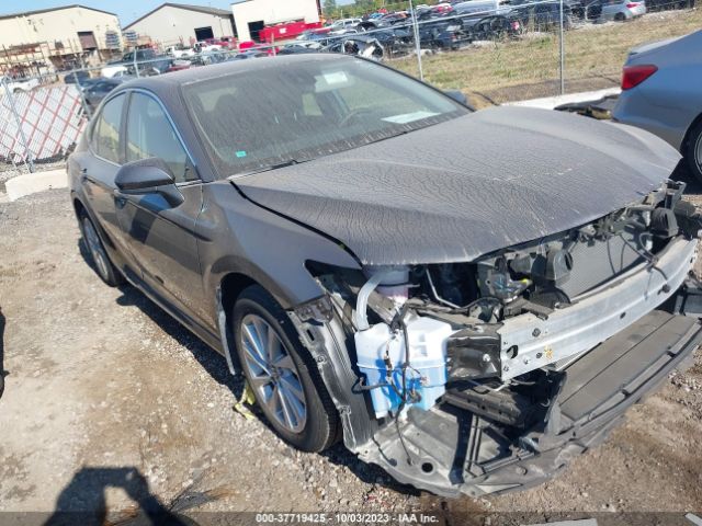 TOYOTA CAMRY 2023 4t1c11ak5pu121380