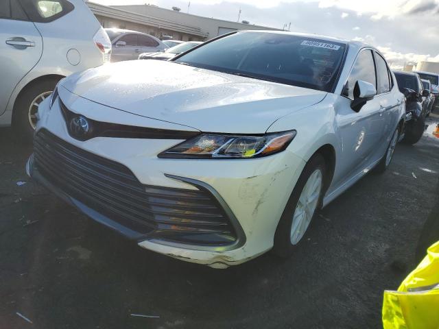 TOYOTA CAMRY 2023 4t1c11ak5pu175181