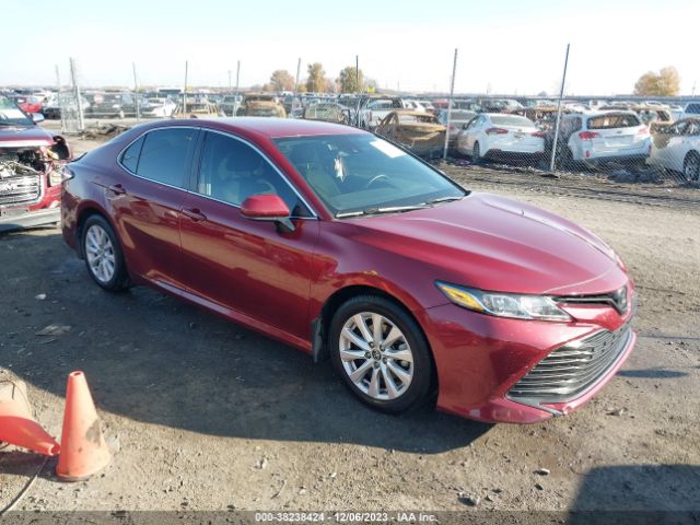 TOYOTA CAMRY 2020 4t1c11ak6lu312624