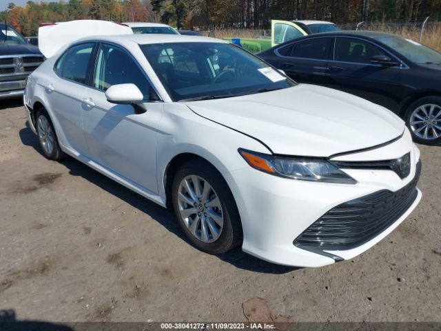 TOYOTA CAMRY 2020 4t1c11ak6lu384939