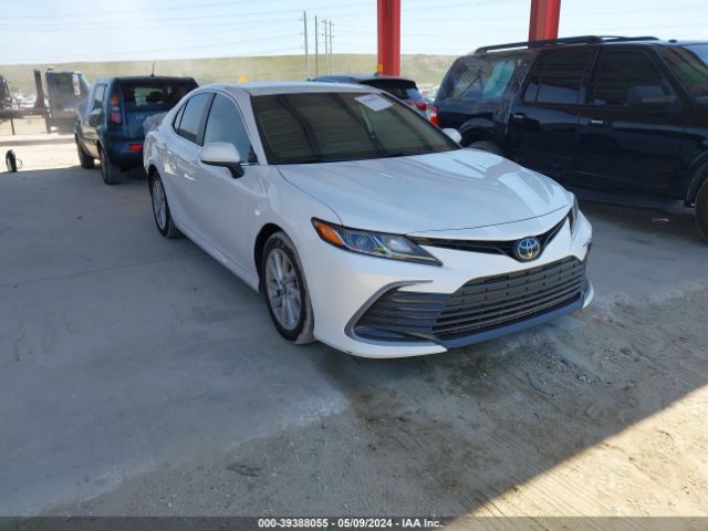 TOYOTA CAMRY 2022 4t1c11ak6nu715294