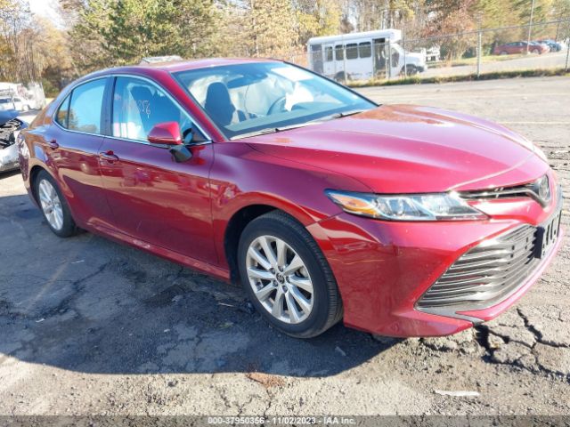 TOYOTA CAMRY 2020 4t1c11ak7lu385887