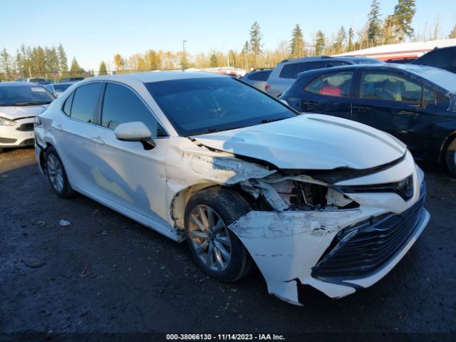 TOYOTA CAMRY 2020 4t1c11ak7lu890036