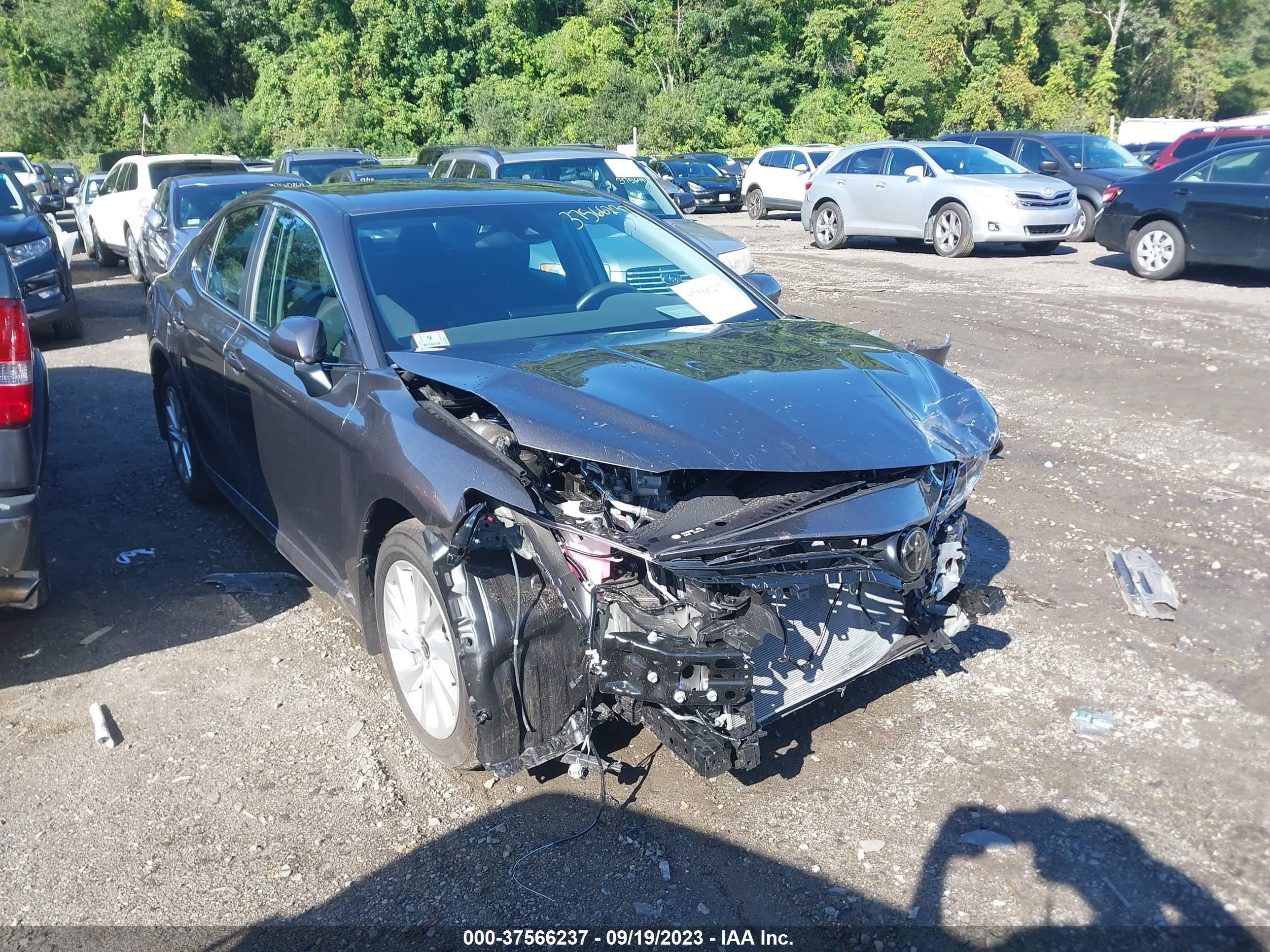 TOYOTA CAMRY 2023 4t1c11akxpu839118