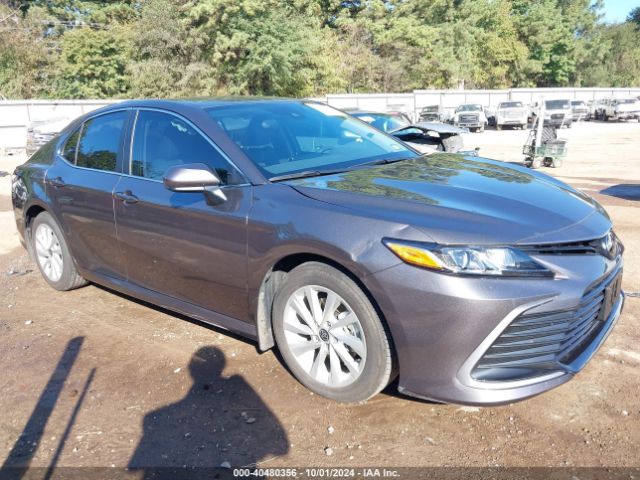 TOYOTA CAMRY 2024 4t1c11akxru889536